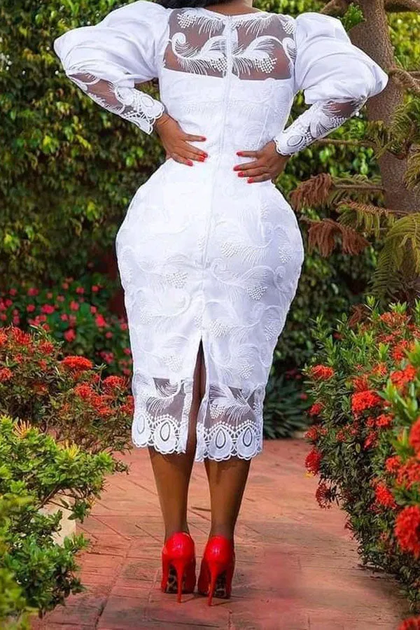 Lace Feminine Zip Through  Midi Dress