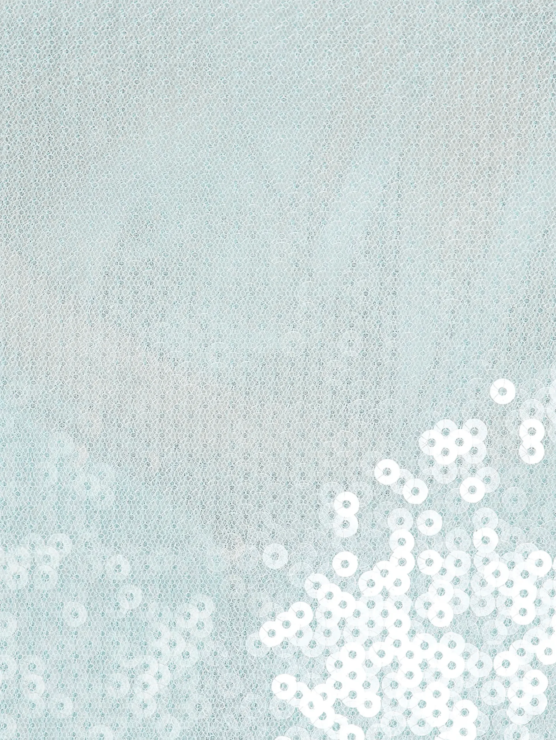 Light Sequin Blouse / Ice Water
